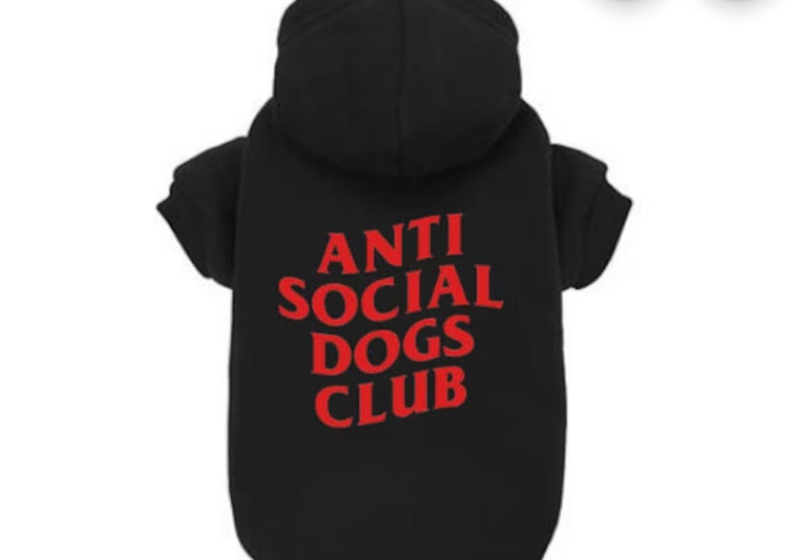 Anti hoodie