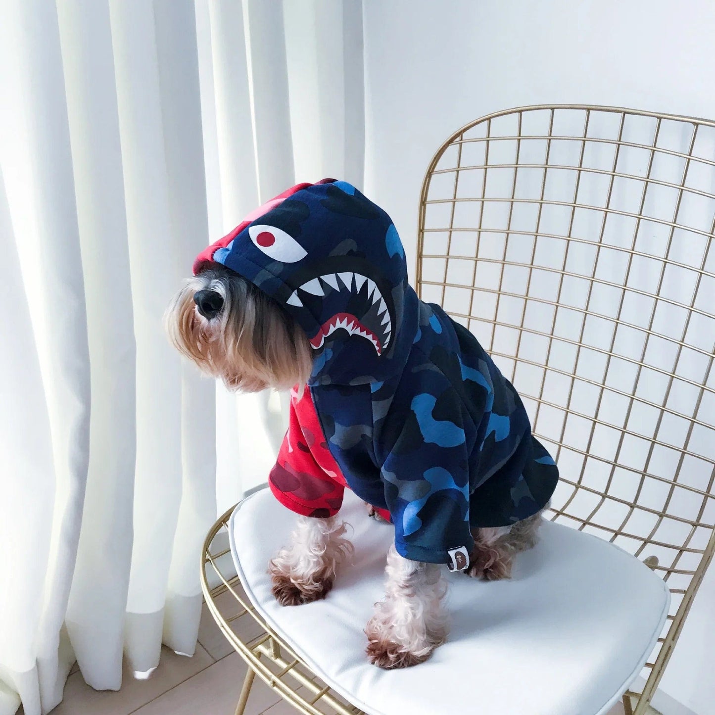 shark hoodie