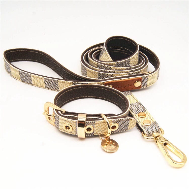 LV collar and leash set