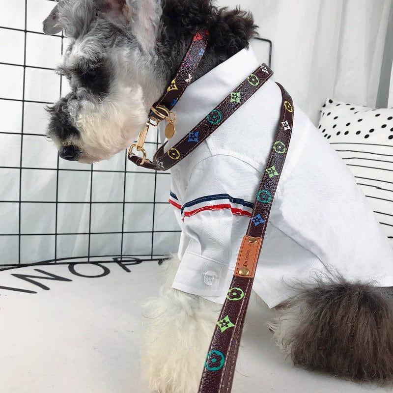 LV collar and leash set