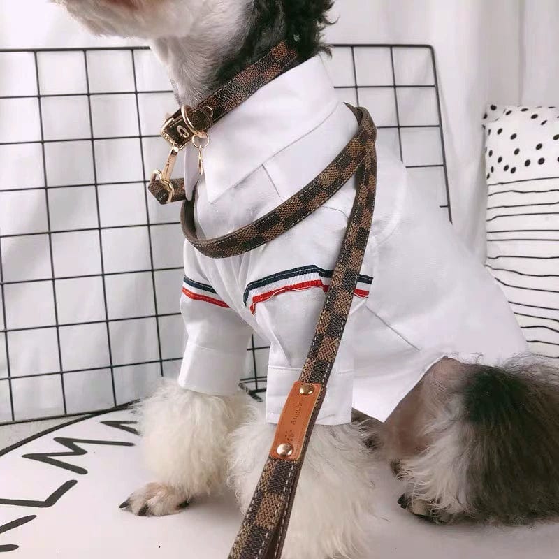 LV collar and leash set