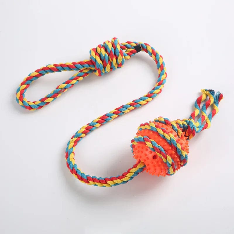 Interactive Treat Rope