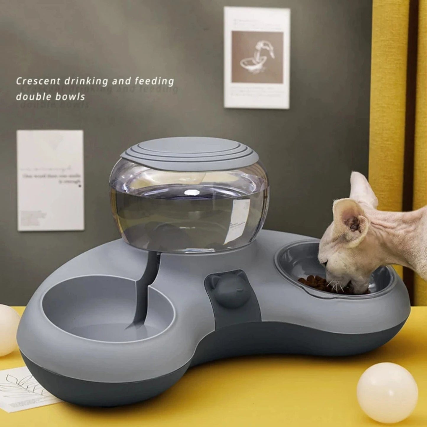 Water Dispenser/Food Bowl