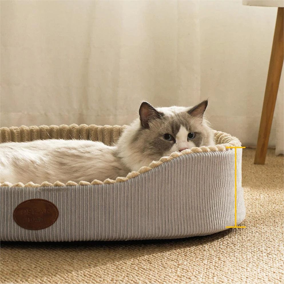 Lounging Bowl Bed