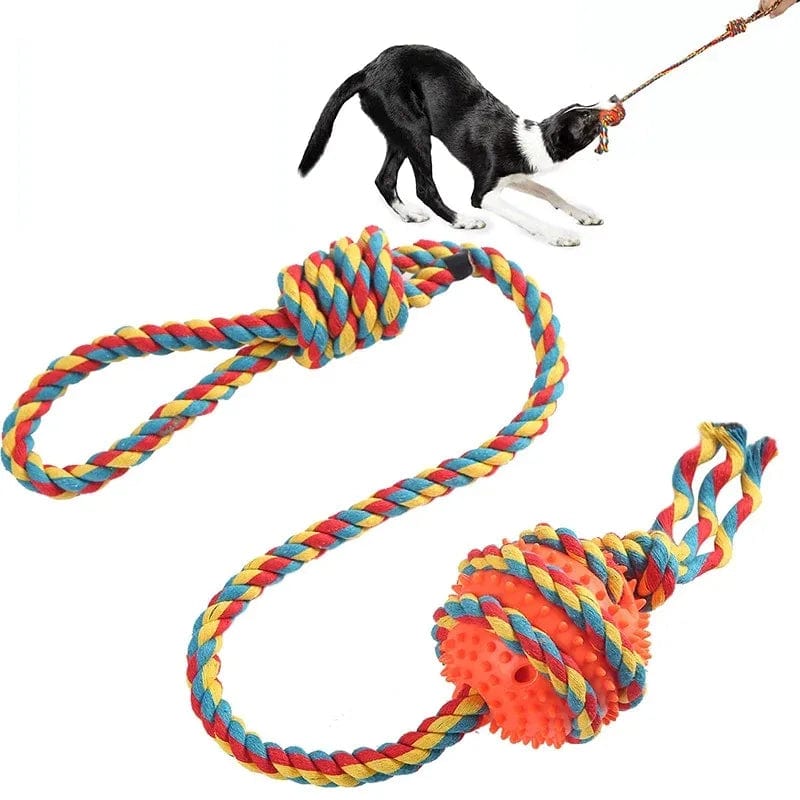 Interactive Treat Rope