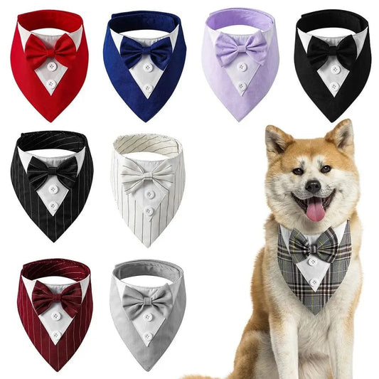 Gentlemen Bow tie Collection