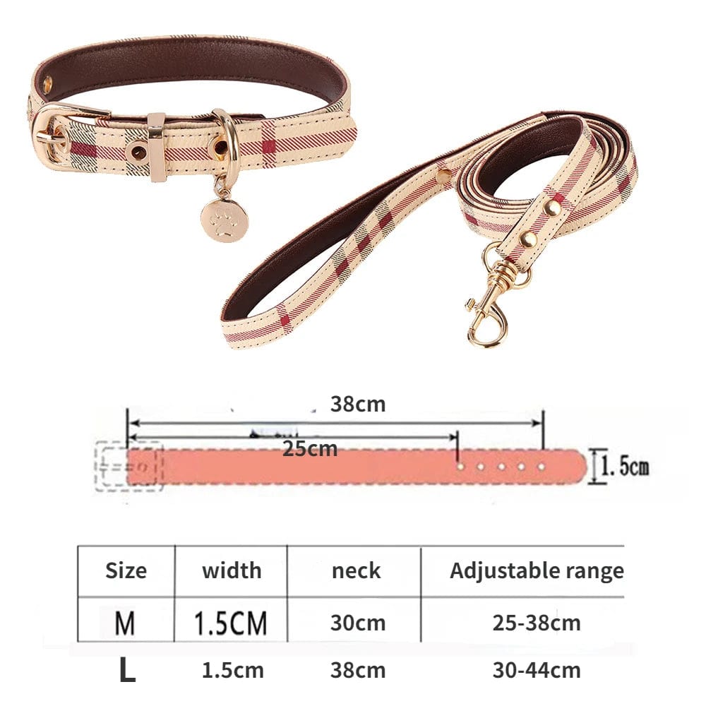 Burb collar and leash set