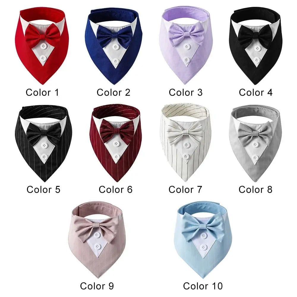 Gentlemen Bow tie Collection