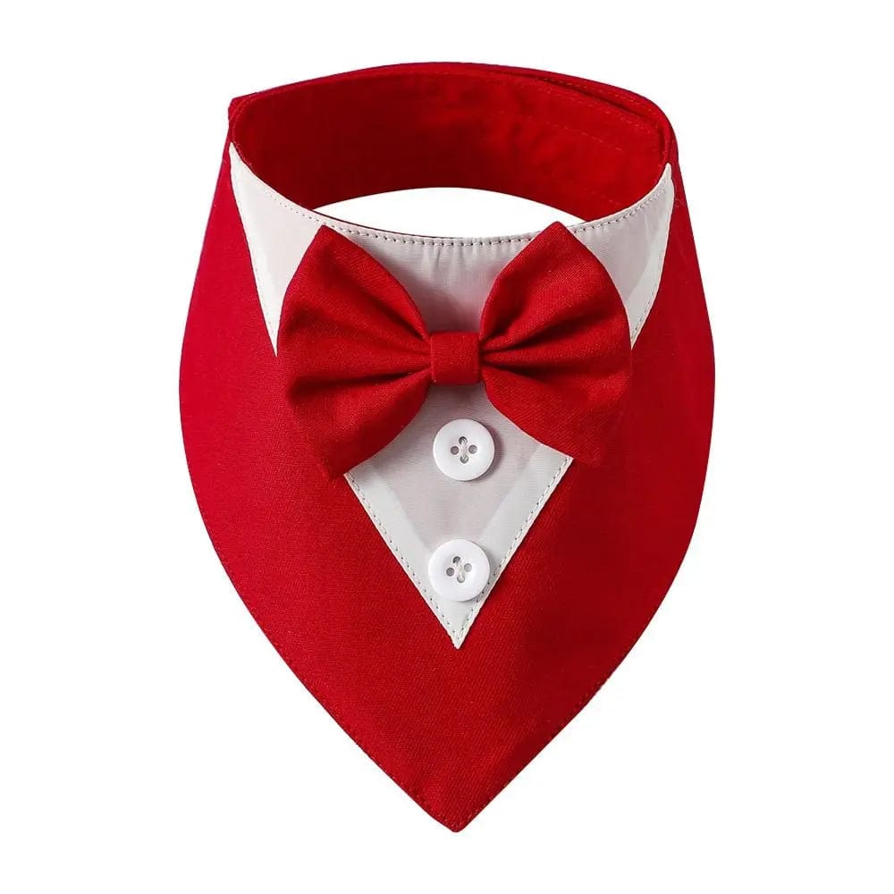 Gentlemen Bow tie Collection