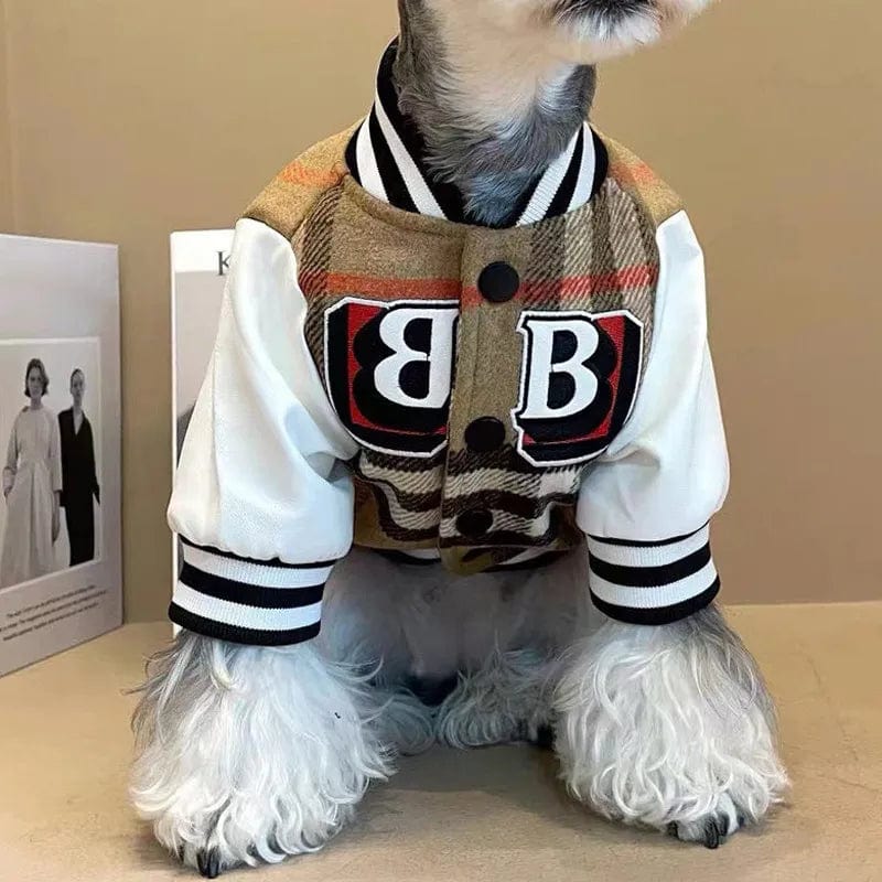 Burb varsity Jacket