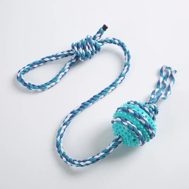 Interactive Treat Rope