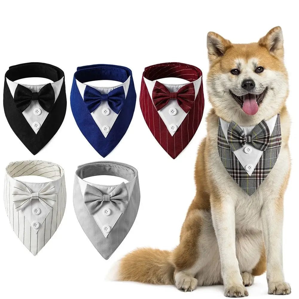 Gentlemen Bow tie Collection