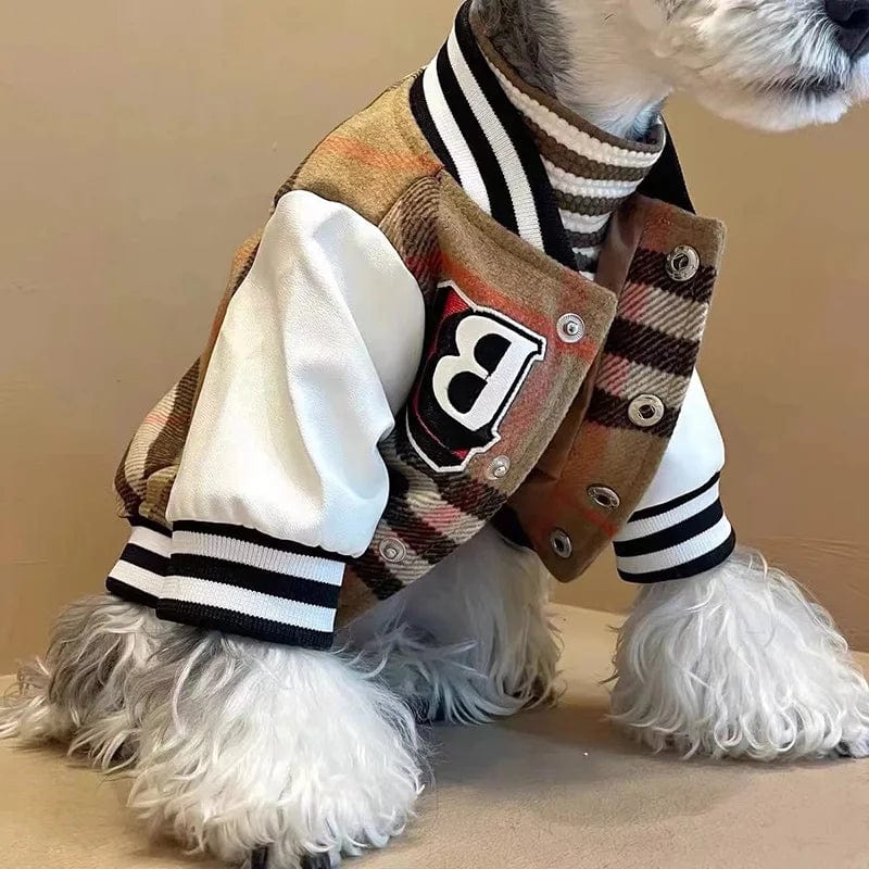 Burb varsity Jacket